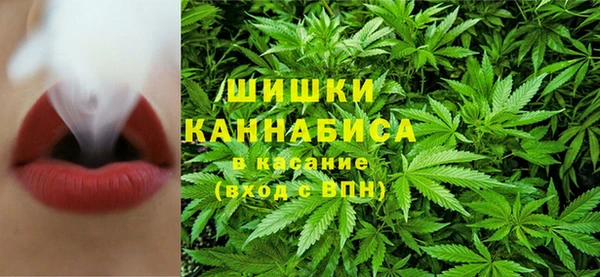 бутират Инсар
