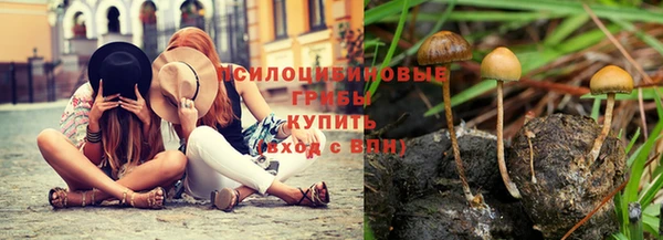 jwh Касимов