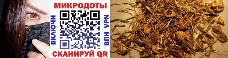 Купить  Куртамыш  Галлюциногенные грибы прущие грибы 