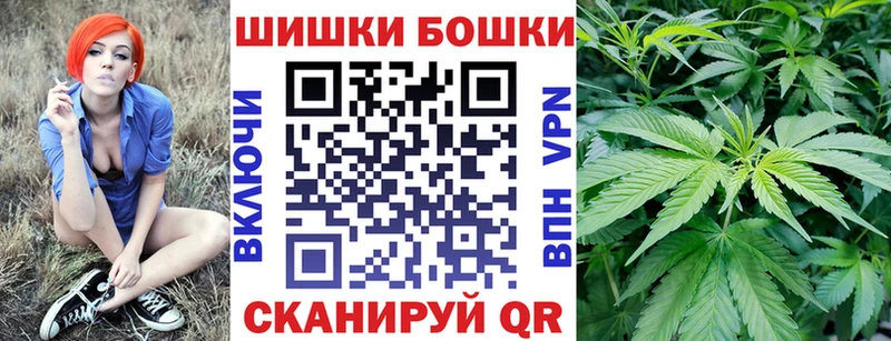 Купить закладки  Куртамыш  Бошки Шишки план 